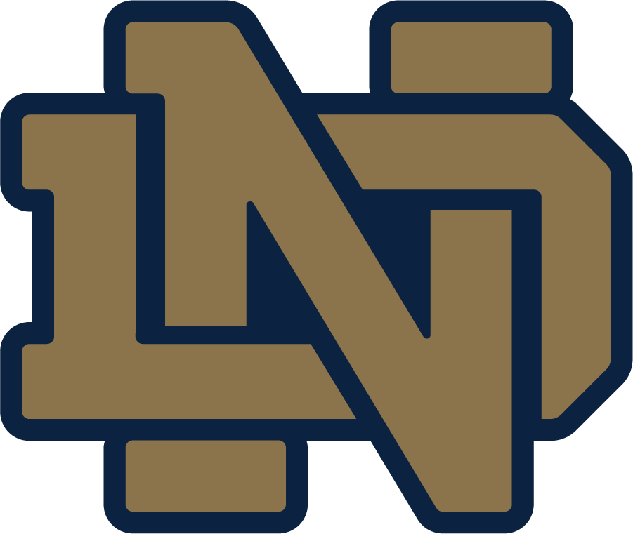 Notre Dame Fighting Irish 2006-2015 Alternate Logo diy DTF decal sticker